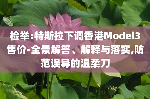 檢舉:特斯拉下調(diào)香港Model3售價-全景解答、解釋與落實,防范誤導的溫柔刀