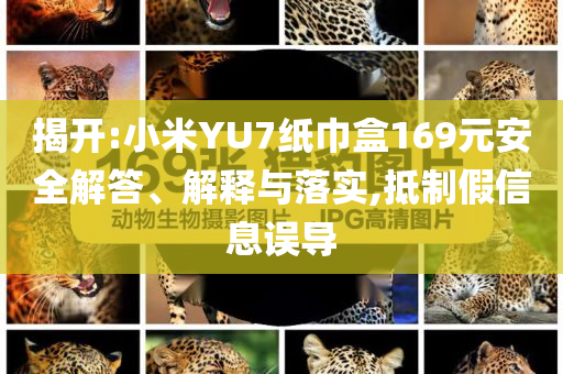 揭開(kāi):小米YU7紙巾盒169元安全解答、解釋與落實(shí),抵制假信息誤導(dǎo)