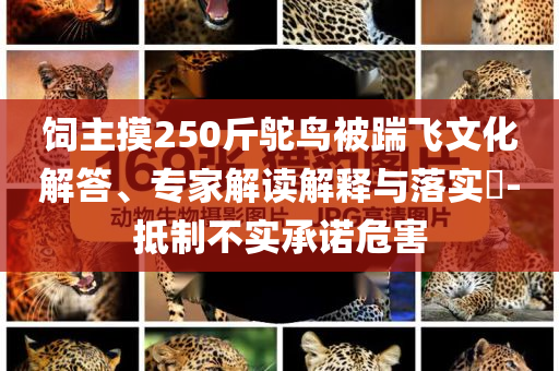 2025年7月5日 第10頁