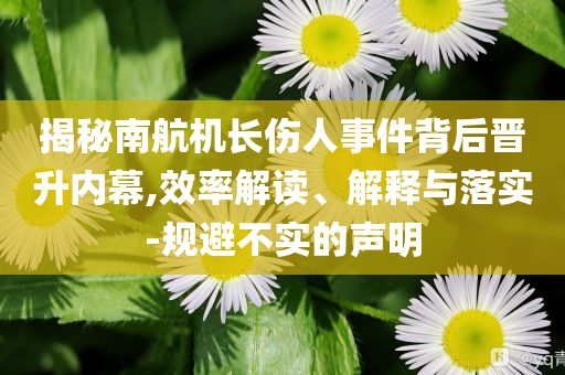 揭秘南航機(jī)長傷人事件背后晉升內(nèi)幕,效率解讀、解釋與落實(shí)-規(guī)避不實(shí)的聲明