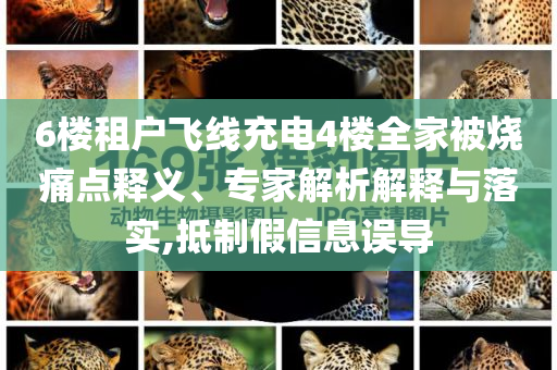 6樓租戶飛線充電4樓全家被燒痛點(diǎn)釋義、專家解析解釋與落實(shí),抵制假信息誤導(dǎo)