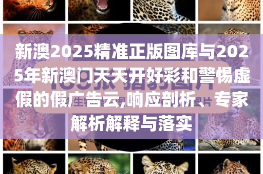 新澳2025精準(zhǔn)正版圖庫與2025年新澳門天天開好彩和警惕虛假的假廣告云,響應(yīng)剖析、專家解析解釋與落實