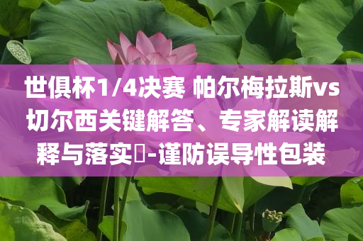 世俱杯1/4決賽 帕爾梅拉斯vs切爾西關(guān)鍵解答、專家解讀解釋與落實(shí)?-謹(jǐn)防誤導(dǎo)性包裝