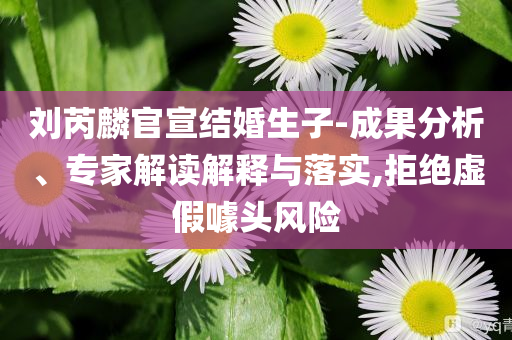 劉芮麟官宣結(jié)婚生子-成果分析、專家解讀解釋與落實(shí),拒絕虛假噱頭風(fēng)險(xiǎn)