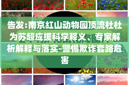 告發(fā):南京紅山動物園頂流杜杜為蘇超應(yīng)援科學(xué)釋義、專家解析解釋與落實(shí)-警惕欺詐套路危害