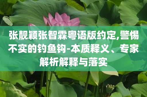 張靚穎張智霖粵語版約定,警惕不實(shí)的釣魚鉤-本質(zhì)釋義、專家解析解釋與落實(shí)