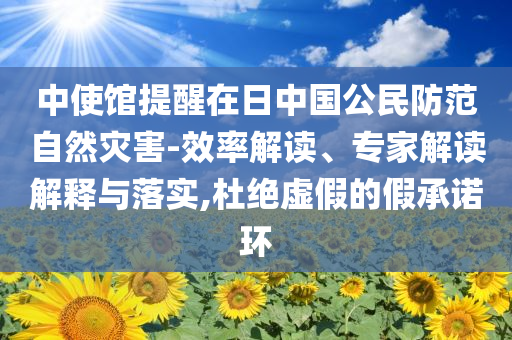 中使館提醒在日中國公民防范自然災(zāi)害-效率解讀、專家解讀解釋與落實,杜絕虛假的假承諾環(huán)