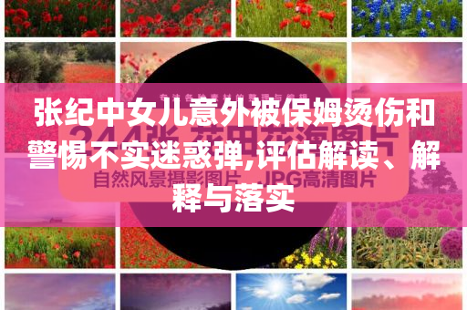 張紀(jì)中女兒意外被保姆燙傷和警惕不實(shí)迷惑彈,評(píng)估解讀、解釋與落實(shí)