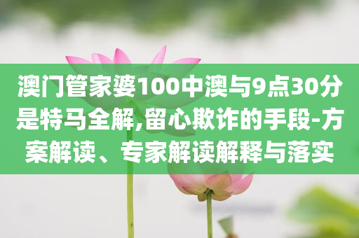 澳門管家婆100中澳與9點30分是特馬全解,留心欺詐的手段-方案解讀、專家解讀解釋與落實