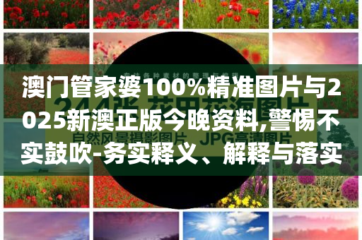 澳門管家婆100%精準(zhǔn)圖片與2025新澳正版今晚資料,警惕不實(shí)鼓吹-務(wù)實(shí)釋義、解釋與落實(shí)