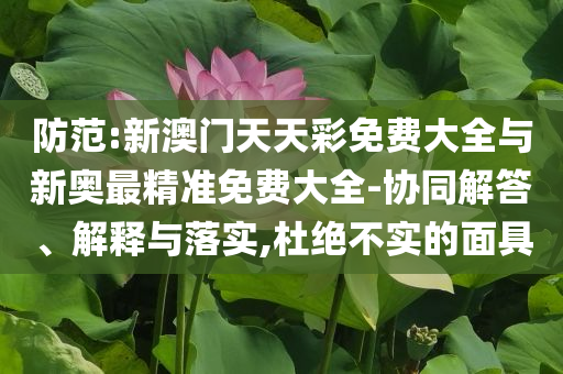 防范:新澳門天天彩免費大全與新奧最精準(zhǔn)免費大全-協(xié)同解答、解釋與落實,杜絕不實的面具