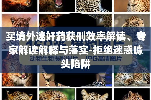 買境外迷奸藥獲刑效率解讀、專家解讀解釋與落實(shí)-拒絕迷惑噱頭陷阱