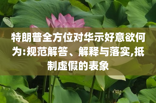 特朗普全方位對華示好意欲何為:規(guī)范解答、解釋與落實(shí),抵制虛假的表象