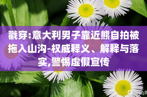 戳穿:意大利男子靠近熊自拍被拖入山溝-權(quán)威釋義、解釋與落實,警惕虛假宣傳