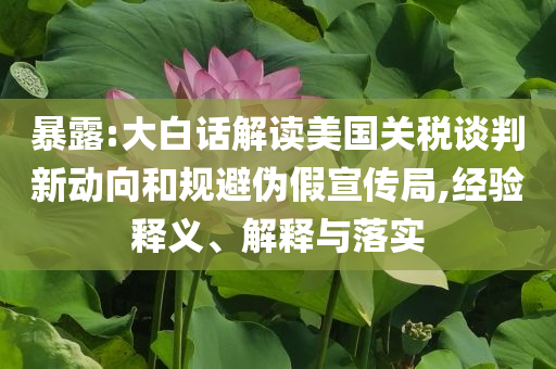 暴露:大白話解讀美國(guó)關(guān)稅談判新動(dòng)向和規(guī)避偽假宣傳局,經(jīng)驗(yàn)釋義、解釋與落實(shí)