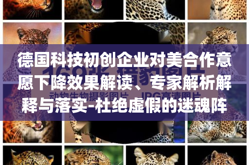 德國科技初創(chuàng)企業(yè)對美合作意愿下降效果解讀、專家解析解釋與落實-杜絕虛假的迷魂陣