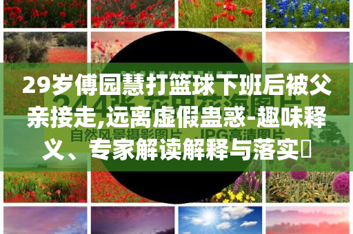 29歲傅園慧打籃球下班后被父親接走,遠離虛假蠱惑-趣味釋義、專家解讀解釋與落實?