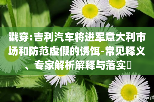 戳穿:吉利汽車將進軍意大利市場和防范虛假的誘餌-常見釋義、專家解析解釋與落實?