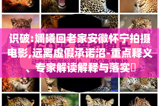 識破:斕曦回老家安徽懷寧拍攝電影,遠離虛假承諾沼-重點釋義、專家解讀解釋與落實?