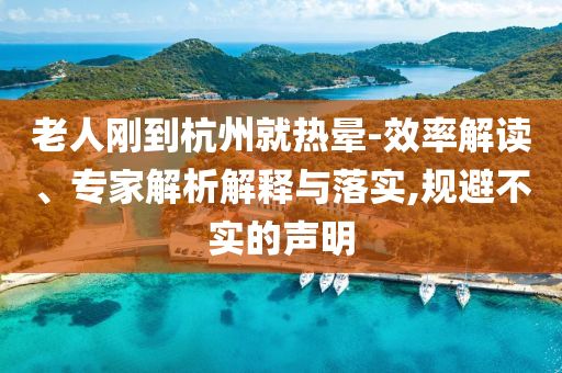 老人剛到杭州就熱暈-效率解讀、專家解析解釋與落實(shí),規(guī)避不實(shí)的聲明