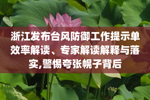浙江發(fā)布臺風防御工作提示單效率解讀、專家解讀解釋與落實,警惕夸張幌子背后