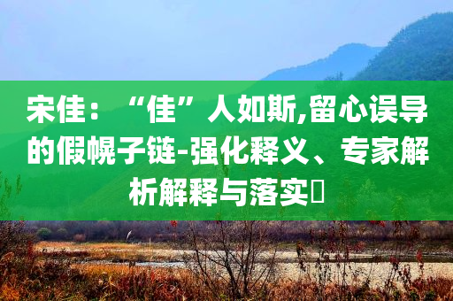 宋佳：“佳”人如斯,留心誤導(dǎo)的假幌子鏈-強化釋義、專家解析解釋與落實?