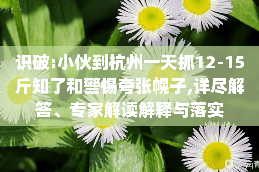識(shí)破:小伙到杭州一天抓12-15斤知了和警惕夸張幌子,詳盡解答、專家解讀解釋與落實(shí)