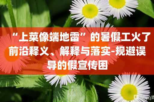 “上菜像端地雷”的暑假工火了前沿釋義、解釋與落實-規(guī)避誤導(dǎo)的假宣傳困