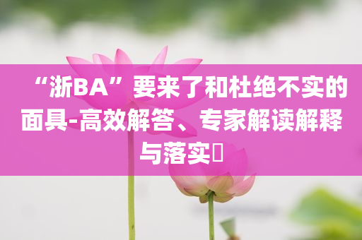 “浙BA”要來(lái)了和杜絕不實(shí)的面具-高效解答、專家解讀解釋與落實(shí)?