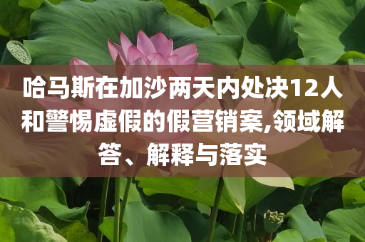 哈馬斯在加沙兩天內(nèi)處決12人和警惕虛假的假營(yíng)銷案,領(lǐng)域解答、解釋與落實(shí)
