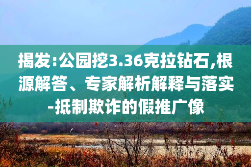 揭發(fā):公園挖3.36克拉鉆石,根源解答、專家解析解釋與落實(shí)-抵制欺詐的假推廣像