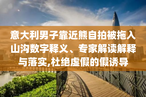 意大利男子靠近熊自拍被拖入山溝數(shù)字釋義、專家解讀解釋與落實(shí),杜絕虛假的假誘導(dǎo)