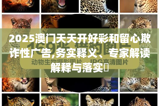 2025澳門天天開好彩和留心欺詐性廣告,務(wù)實釋義、專家解讀解釋與落實?