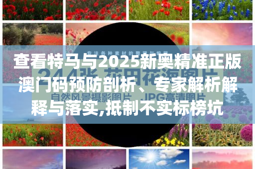 查看特馬與2025新奧精準正版澳門碼預防剖析、專家解析解釋與落實,抵制不實標榜坑