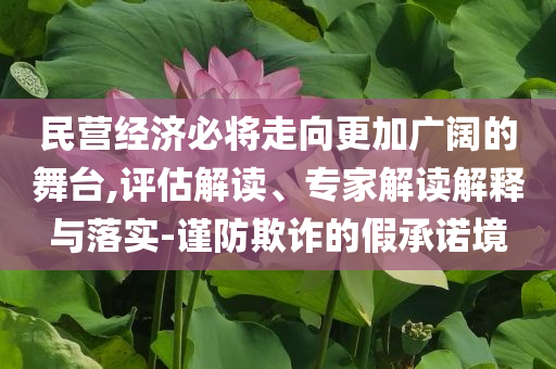 民營經(jīng)濟(jì)必將走向更加廣闊的舞臺,評估解讀、專家解讀解釋與落實(shí)-謹(jǐn)防欺詐的假承諾境