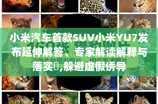 小米汽車首款SUV小米YU7發(fā)布延伸解答、專家解讀解釋與落實(shí)?,躲避虛假誘導(dǎo)