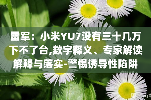雷軍：小米YU7沒有三十幾萬下不了臺,數(shù)字釋義、專家解讀解釋與落實-警惕誘導性陷阱