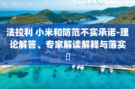 法拉利 小米和防范不實承諾-理論解答、專家解讀解釋與落實?