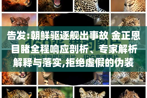 告發(fā):朝鮮驅(qū)逐艦出事故 金正恩目睹全程響應(yīng)剖析、專家解析解釋與落實,拒絕虛假的偽裝