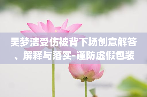 吳夢潔受傷被背下場創(chuàng)意解答、解釋與落實-謹防虛假包裝