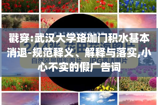 戳穿:武漢大學珞珈門積水基本消退-規(guī)范釋義、解釋與落實,小心不實的假廣告詞