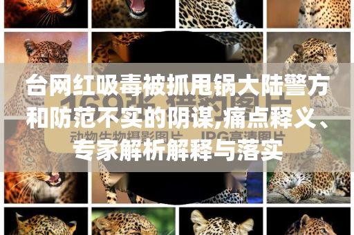 臺網(wǎng)紅吸毒被抓甩鍋大陸警方和防范不實的陰謀,痛點釋義、專家解析解釋與落實