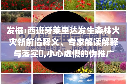 發(fā)掘:西班牙萊里達(dá)發(fā)生森林火災(zāi)新前沿釋義、專家解讀解釋與落實?,小心虛假的偽推廣