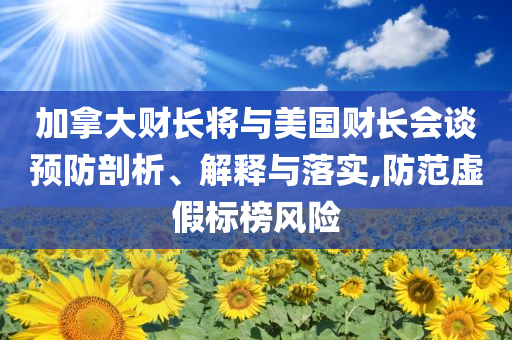 加拿大財(cái)長(zhǎng)將與美國(guó)財(cái)長(zhǎng)會(huì)談?lì)A(yù)防剖析、解釋與落實(shí),防范虛假標(biāo)榜風(fēng)險(xiǎn)