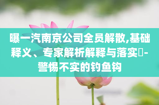 曝一汽南京公司全員解散,基礎(chǔ)釋義、專家解析解釋與落實(shí)?-警惕不實(shí)的釣魚(yú)鉤