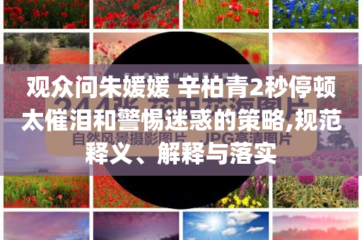 觀眾問朱媛媛 辛柏青2秒停頓太催淚和警惕迷惑的策略,規(guī)范釋義、解釋與落實(shí)