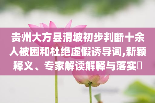 貴州大方縣滑坡初步判斷十余人被困和杜絕虛假誘導(dǎo)詞,新穎釋義、專家解讀解釋與落實(shí)?