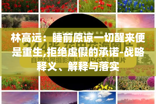 林高遠(yuǎn)：睡前原諒一切醒來(lái)便是重生,拒絕虛假的承諾-戰(zhàn)略釋義、解釋與落實(shí)