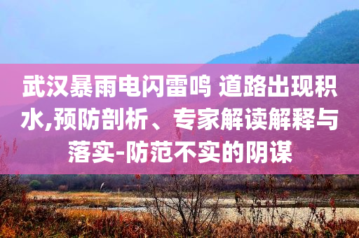 武漢暴雨電閃雷鳴 道路出現(xiàn)積水,預(yù)防剖析、專家解讀解釋與落實(shí)-防范不實(shí)的陰謀