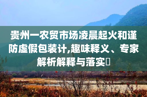 貴州一農(nóng)貿(mào)市場凌晨起火和謹防虛假包裝計,趣味釋義、專家解析解釋與落實?
